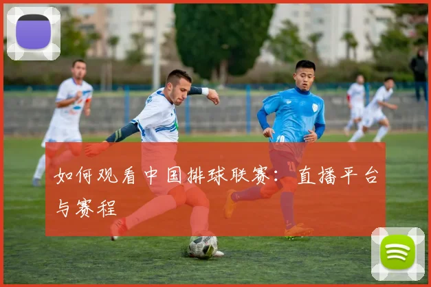 如何观看中国排球联赛:直播平台与赛程