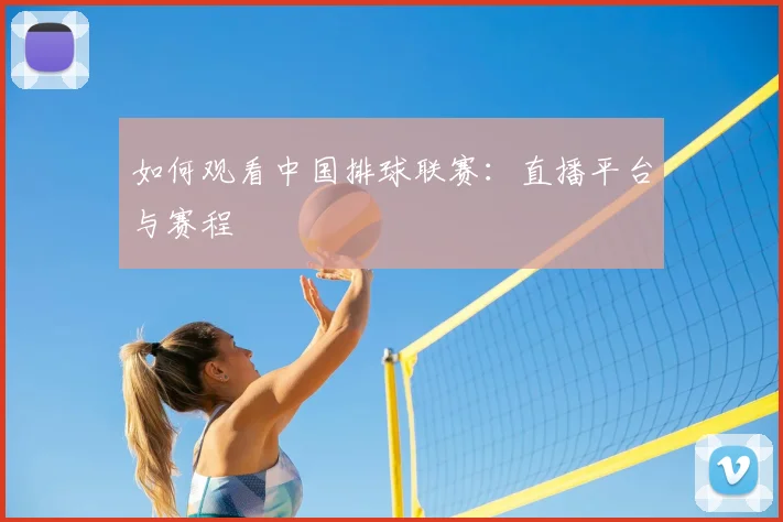 如何观看中国排球联赛：直播平台与赛程
