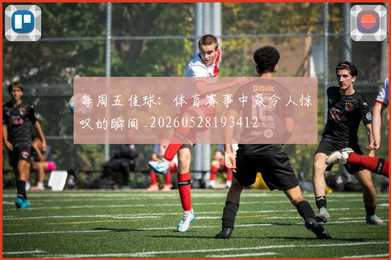 每周五佳球：体育赛事中最令人惊叹的瞬间_20260528193412